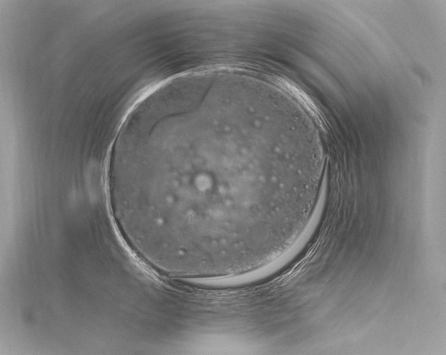 X0000116311055200911301459