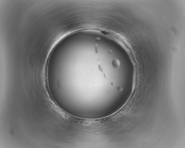 X0000116311056200911301459