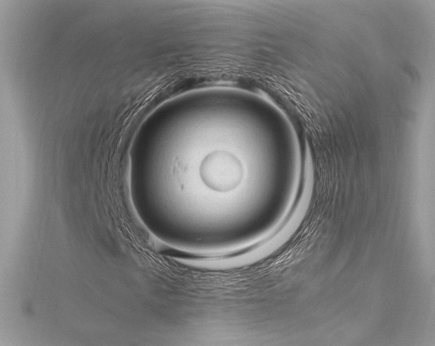 X0000116311057200911301458