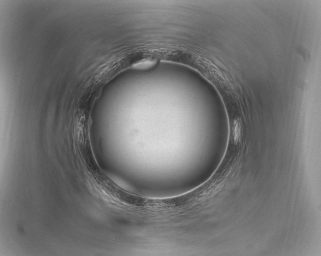 X0000116311059200911301458