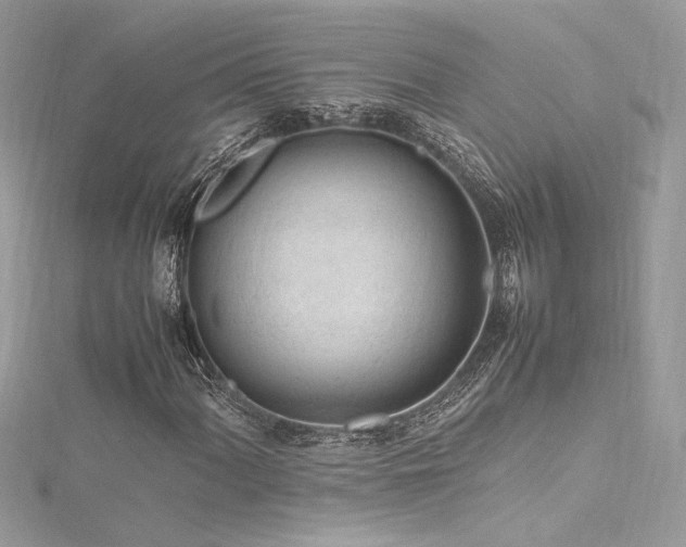 X0000116311060200911301458