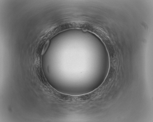 X0000116311061200911301458