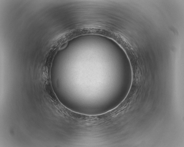 X0000116311062200911301458