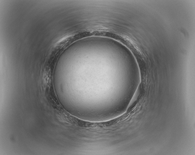 X0000116311063200911301458