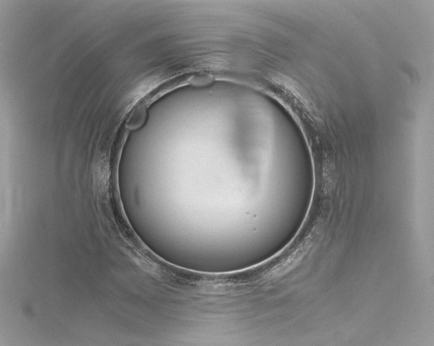 X0000116311065200911301458