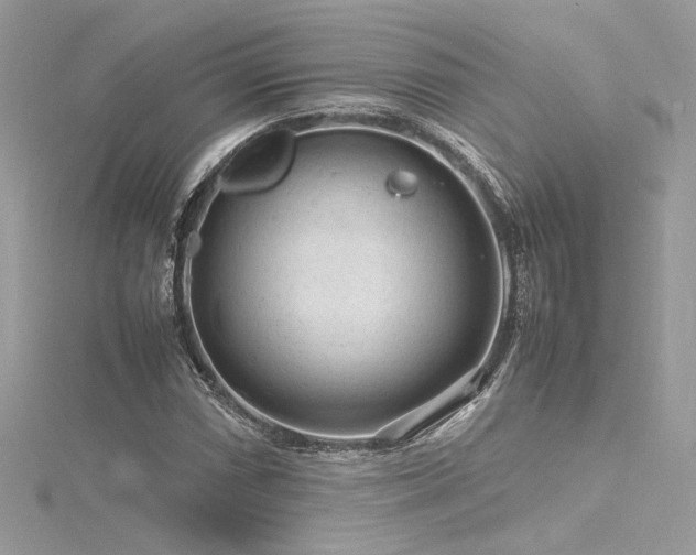 X0000116311066200911301458