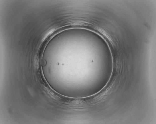 X0000116311067200911301458