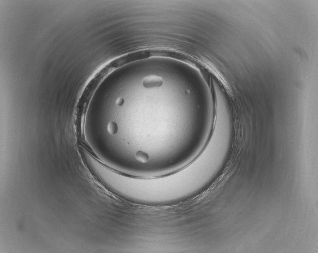 X0000116311068200911301458