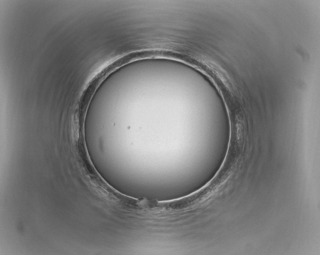 X0000116311069200911301458