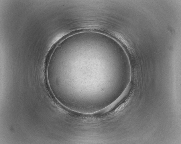 X0000116311071200911301458