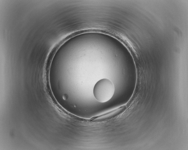 X0000116311072200911301458