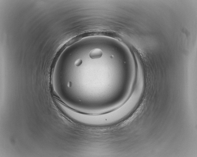 X0000116311073200911301458