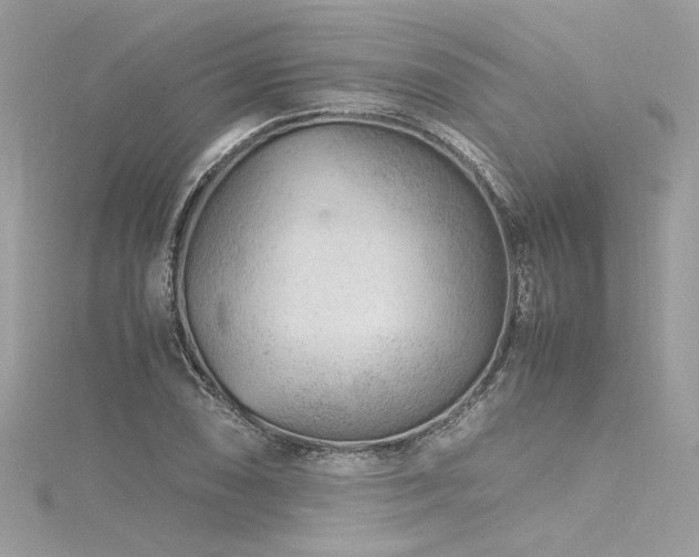 X0000116311074200911301458