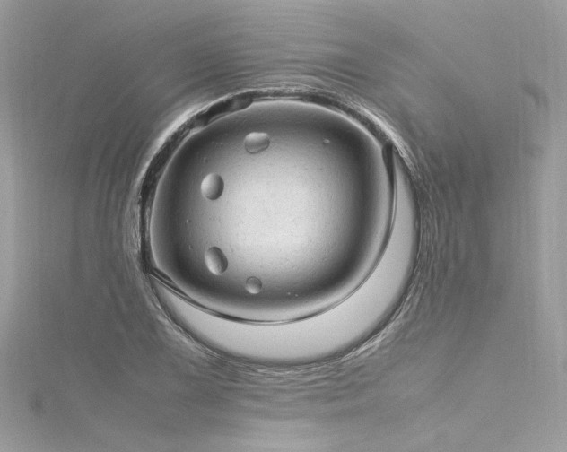 X0000116311075200911301458