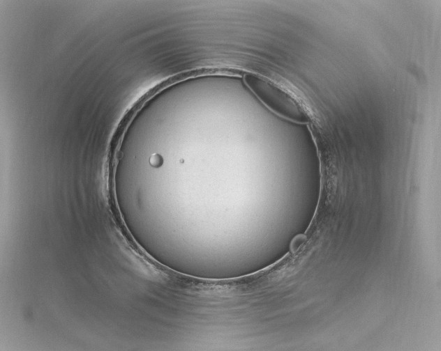 X0000116311076200911301458