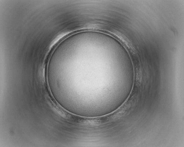 X0000116311078200911301458