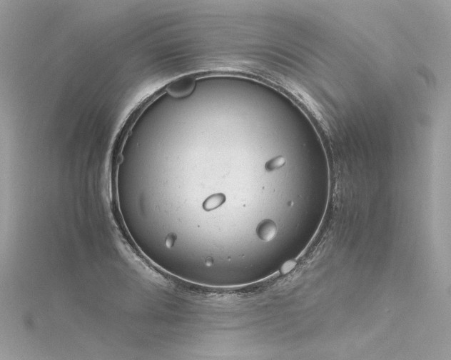 X0000116311080200911301458