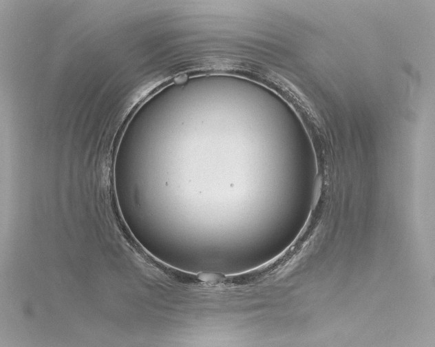 X0000116311081200911301458