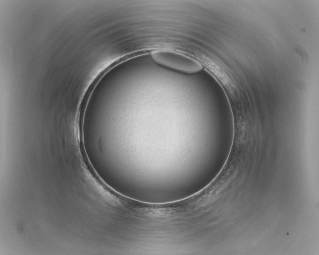 X0000116311084200911301458