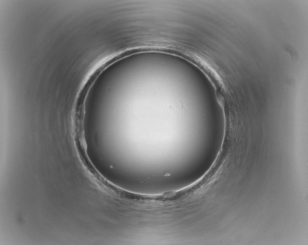 X0000116311085200911301458