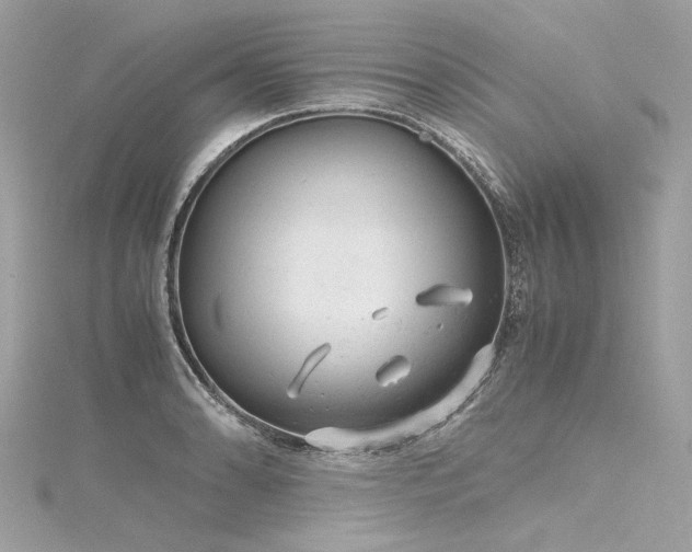 X0000116311086200911301458