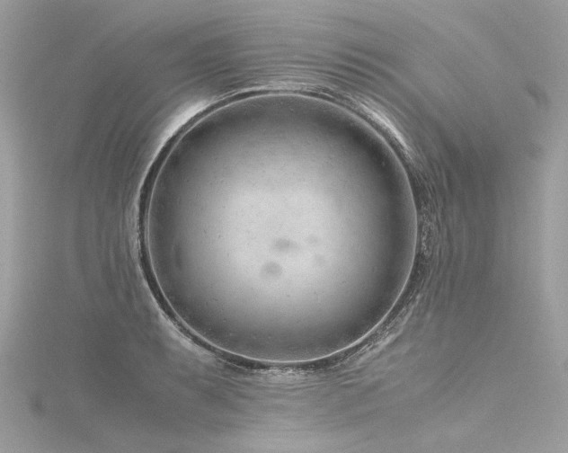 X0000116311087200911301458