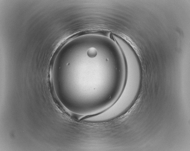 X0000116311089200911301458