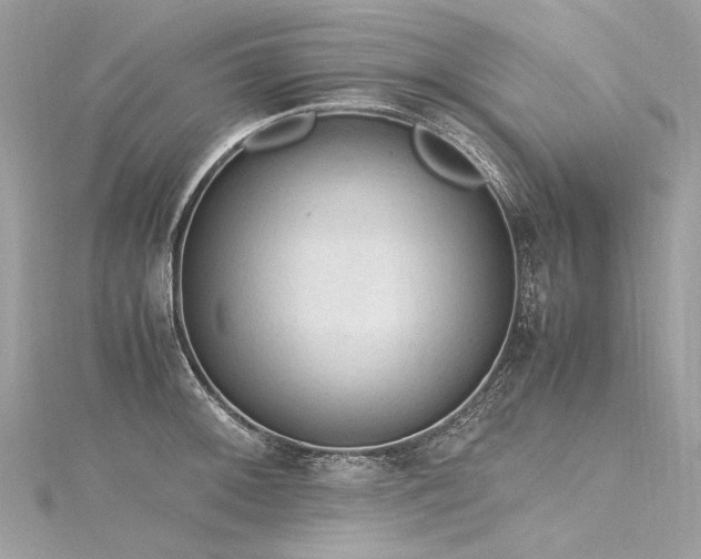 X0000116311092200911301458