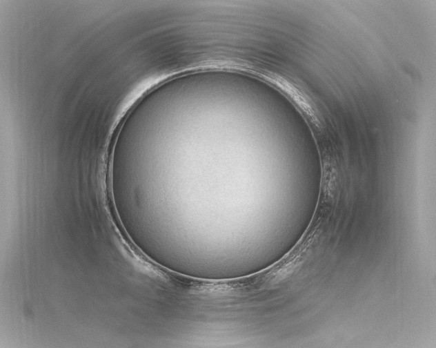 X0000116311094200911301457