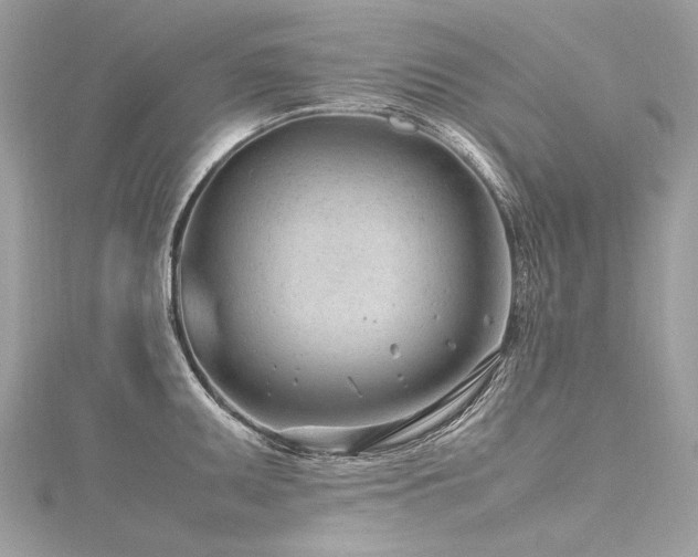 X0000116311095200911301457