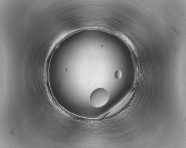 X0000116311096200911301457