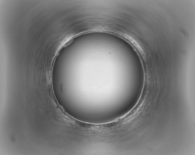 X0000116311097200911301457