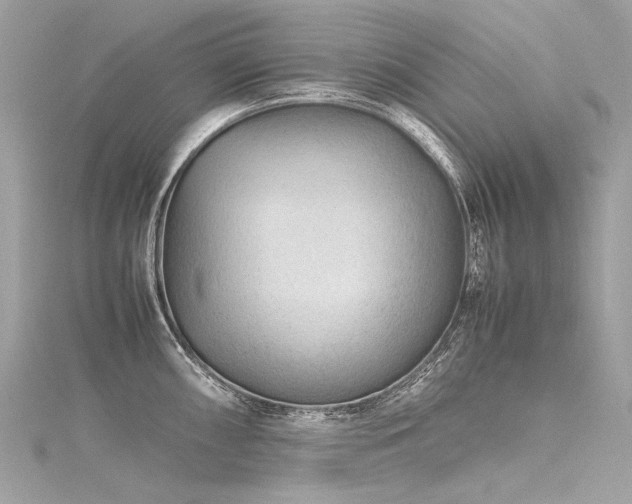 X0000116311098200911301457