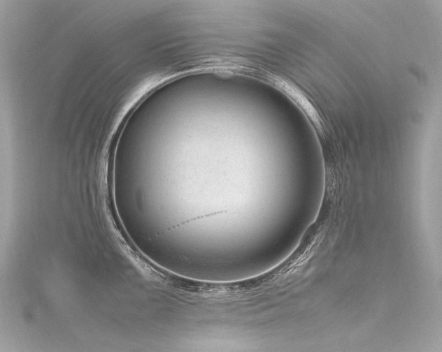 X0000116311099200911301457