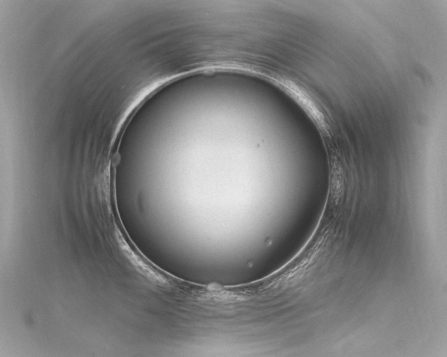 X0000116311100200911301457