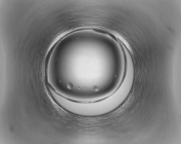 X0000116311101200911301457