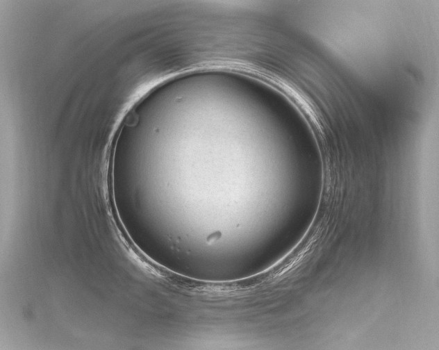 X0000116311102200911301457