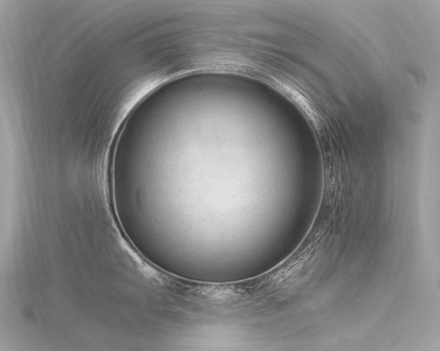 X0000116311103200911301457