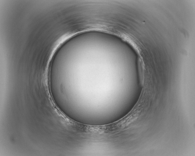 X0000116311104200911301457