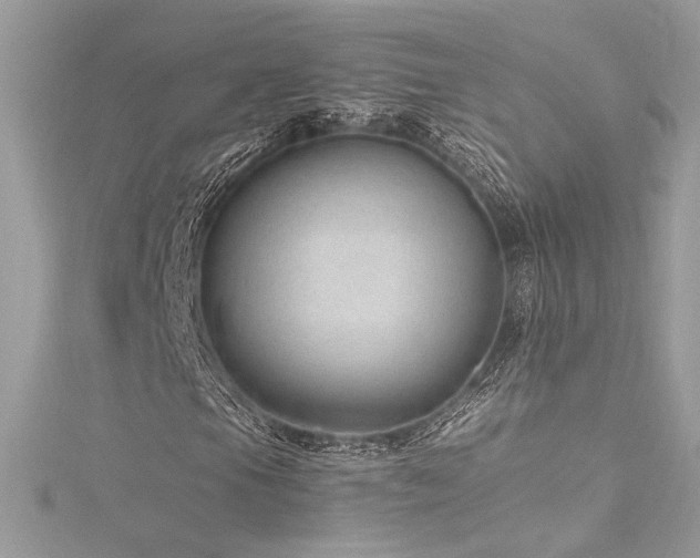 X0000116311105200911301457