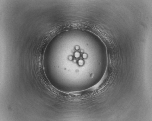 X0000116311106200911301457