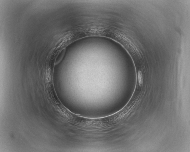 X0000116311107200911301457