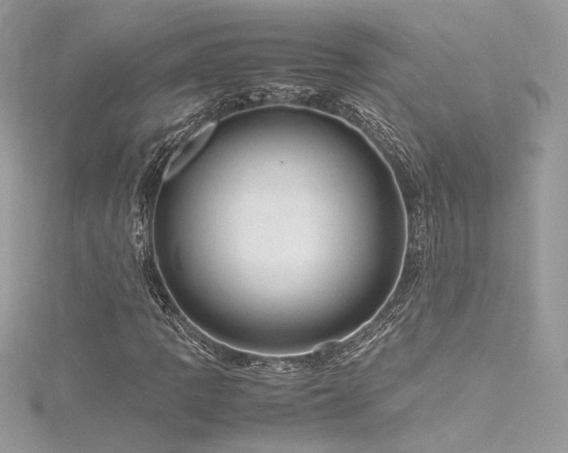 X0000116311109200911301457