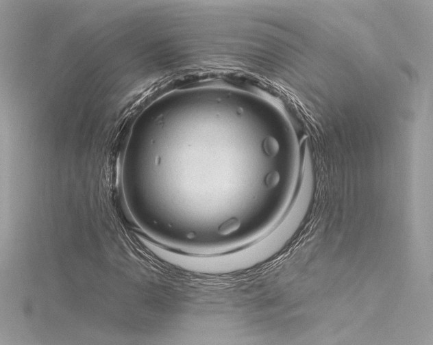 X0000116311110200911301457