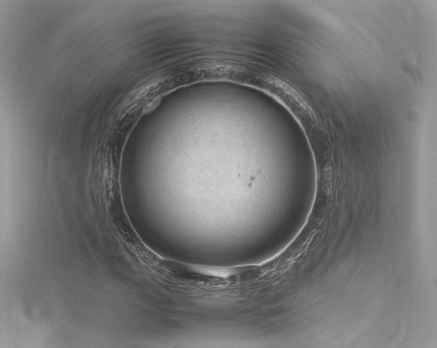 X0000116311111200911301457