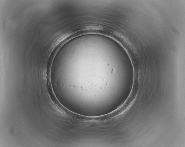 X0000116311113200911301457