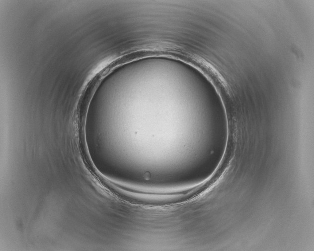 X0000116311114200911301457