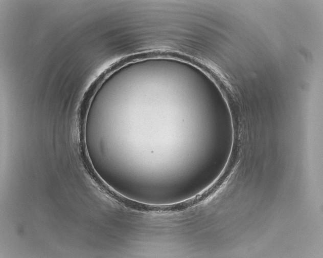 X0000116311118200911301457