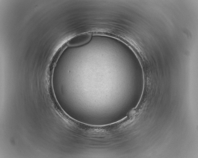 X0000116311119200911301457