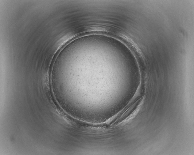 X0000116311121200911301457